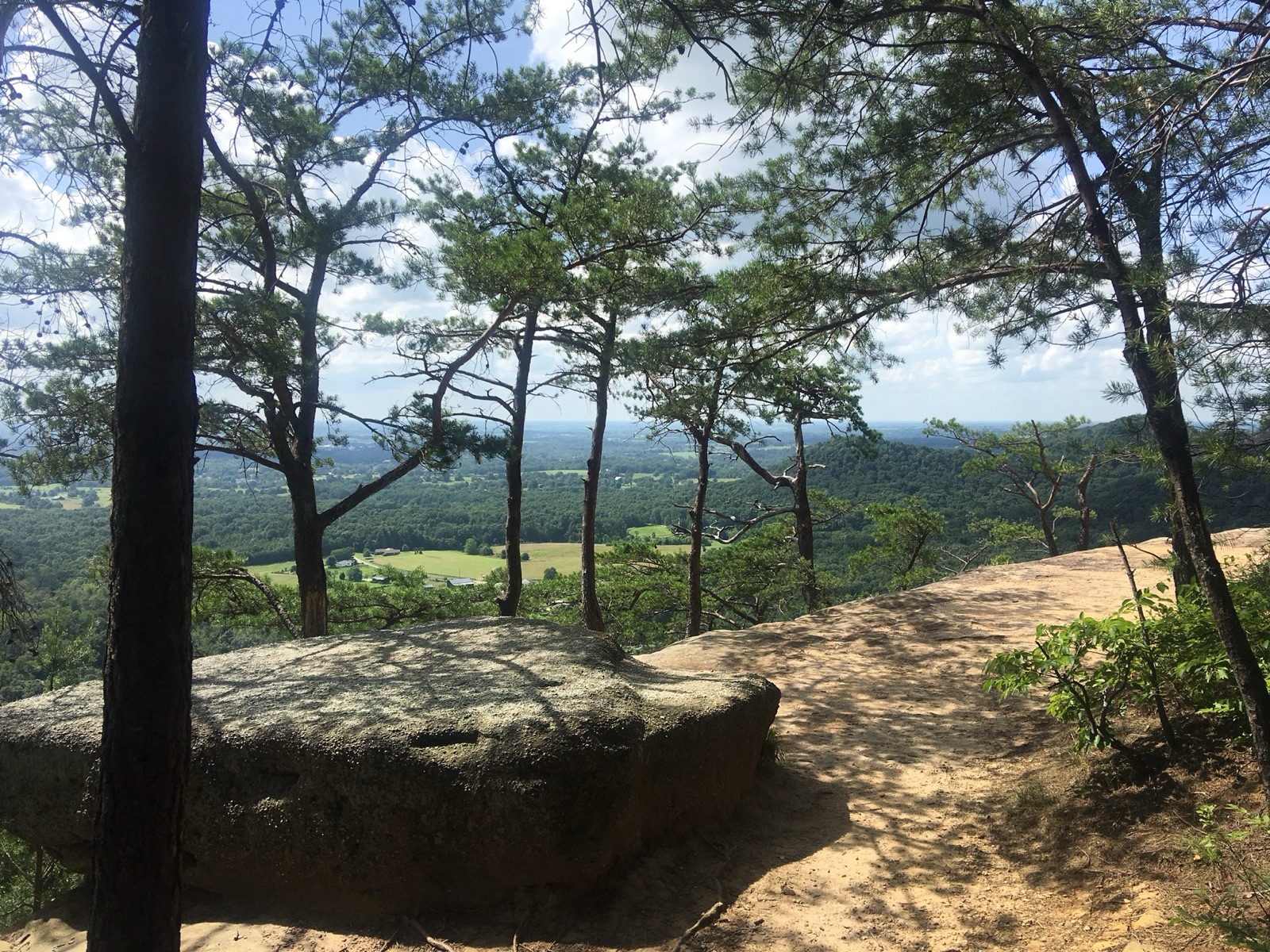 The rocky Indian Fort overlook at the Pinnacles of Berea, pine trees framing a long view over the Kentucky valley below.