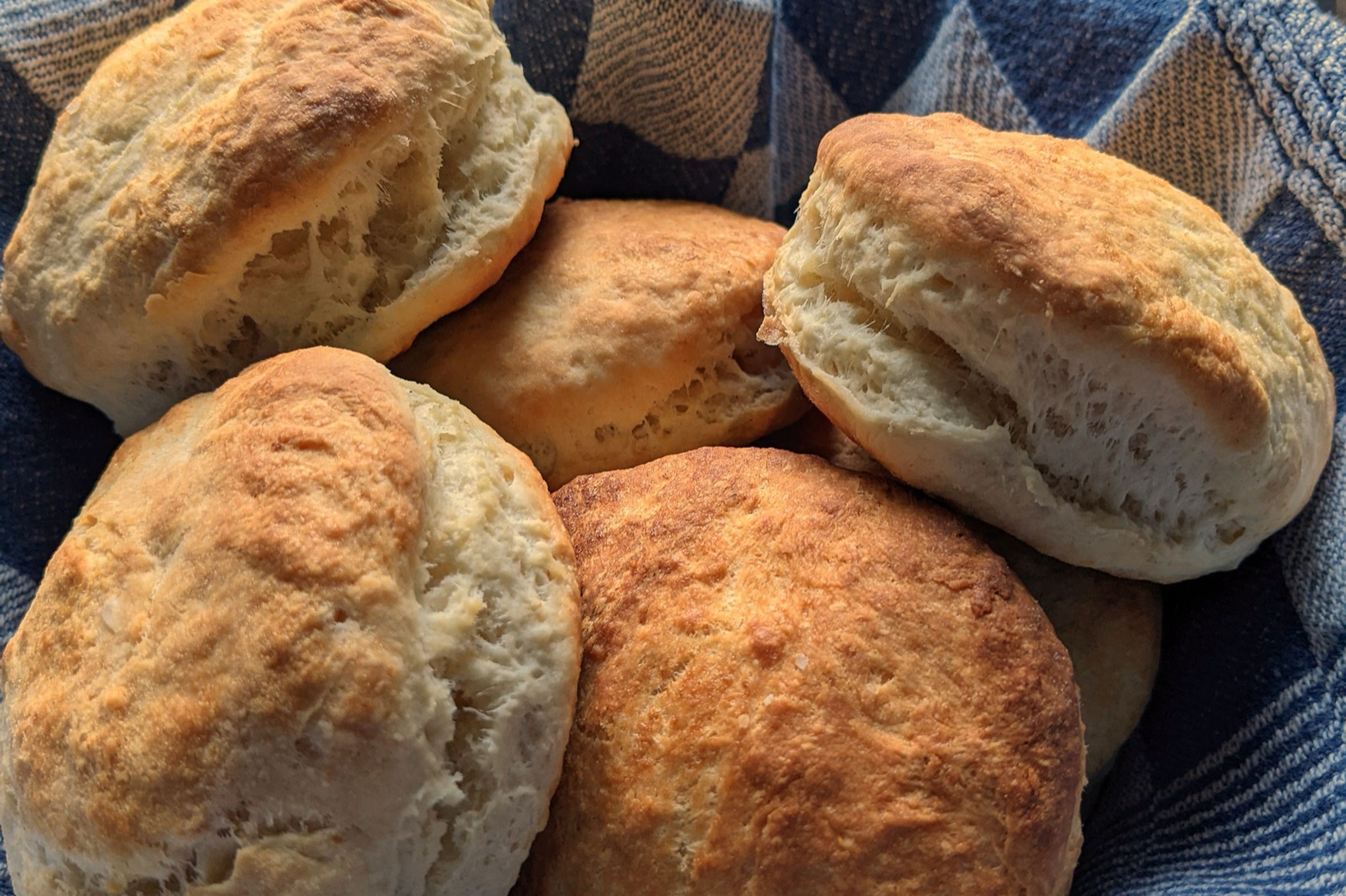 Golden buttermilk biscuits, fresh from the oven.