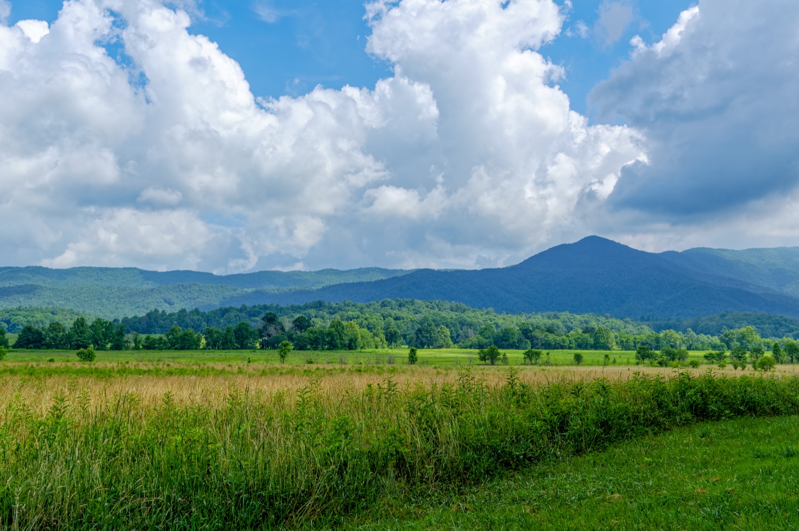 Open green fields of Cades Cove ringed by the forested Great Smoky Mountains under summer clouds.