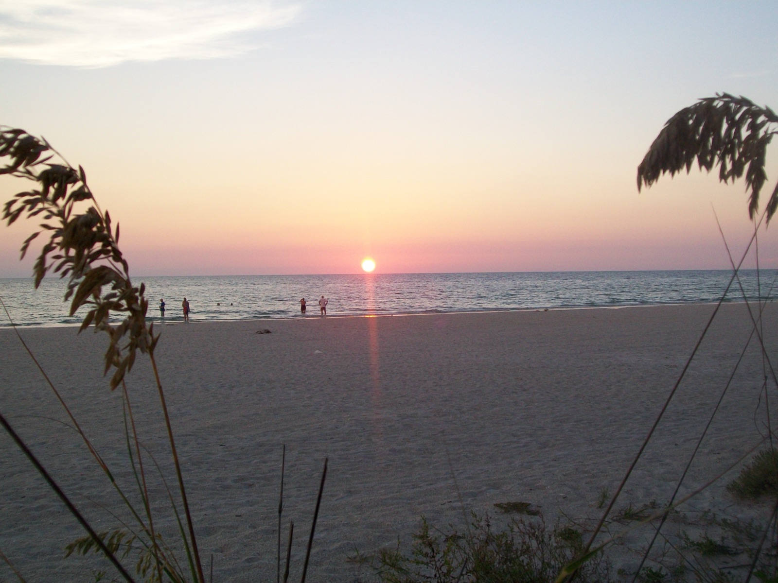 The sun setting over the Gulf of Mexico, the water and sky going gold and pink.