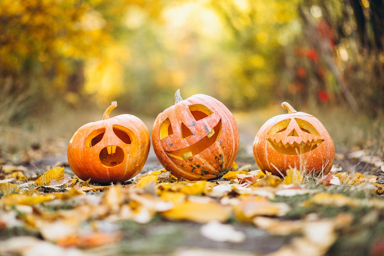 Three carved jack-o-lanterns glowing on a leaf-strewn path in the autumn woods.
