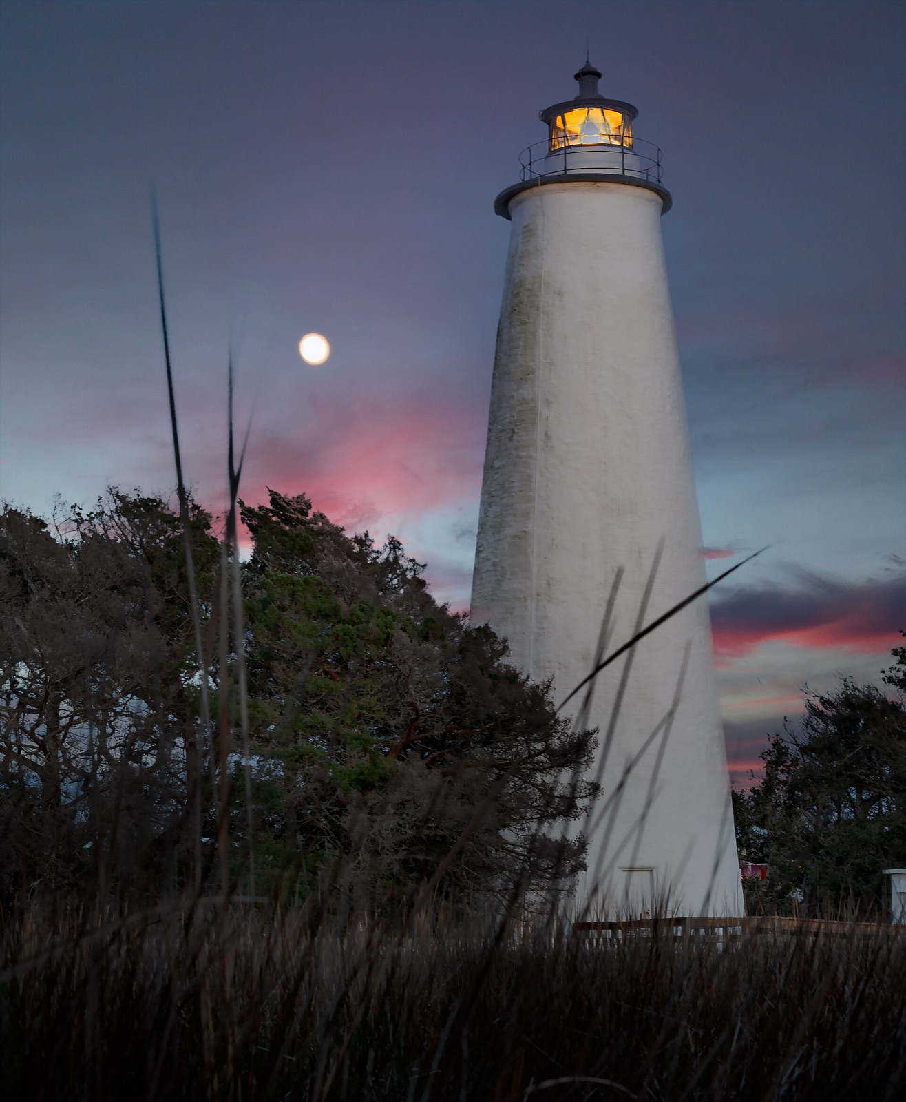 The short, whitewashed Ocracoke Lighthouse among the live oaks of Ocracoke Island, North Carolina.